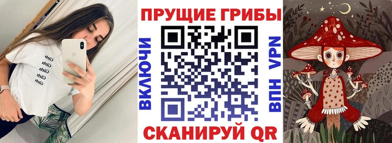 Псилоцибиновые грибы GOLDEN TEACHER Череповец
