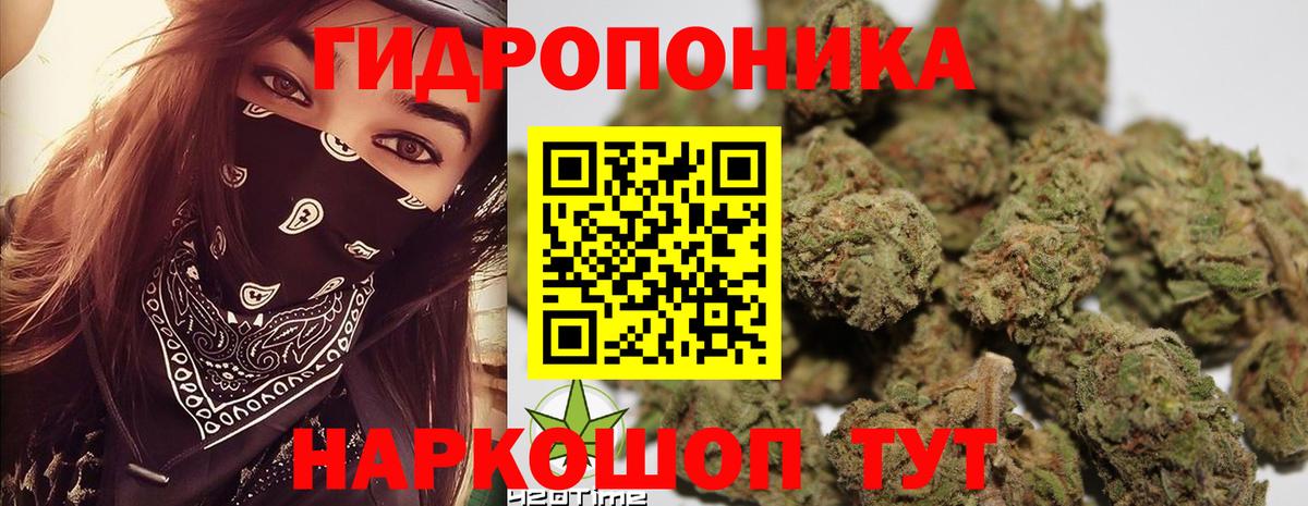 Марихуана Amnesia Череповец